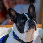 Программы лояльности казино без депозита для активных игроков