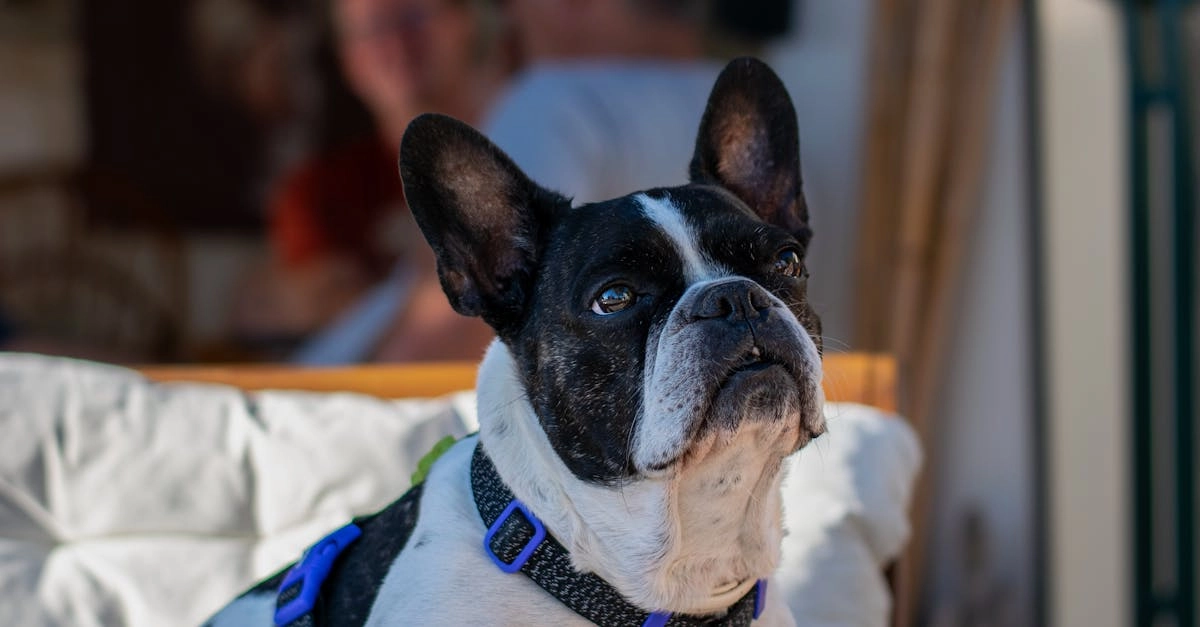 Программы лояльности казино без депозита для активных игроков